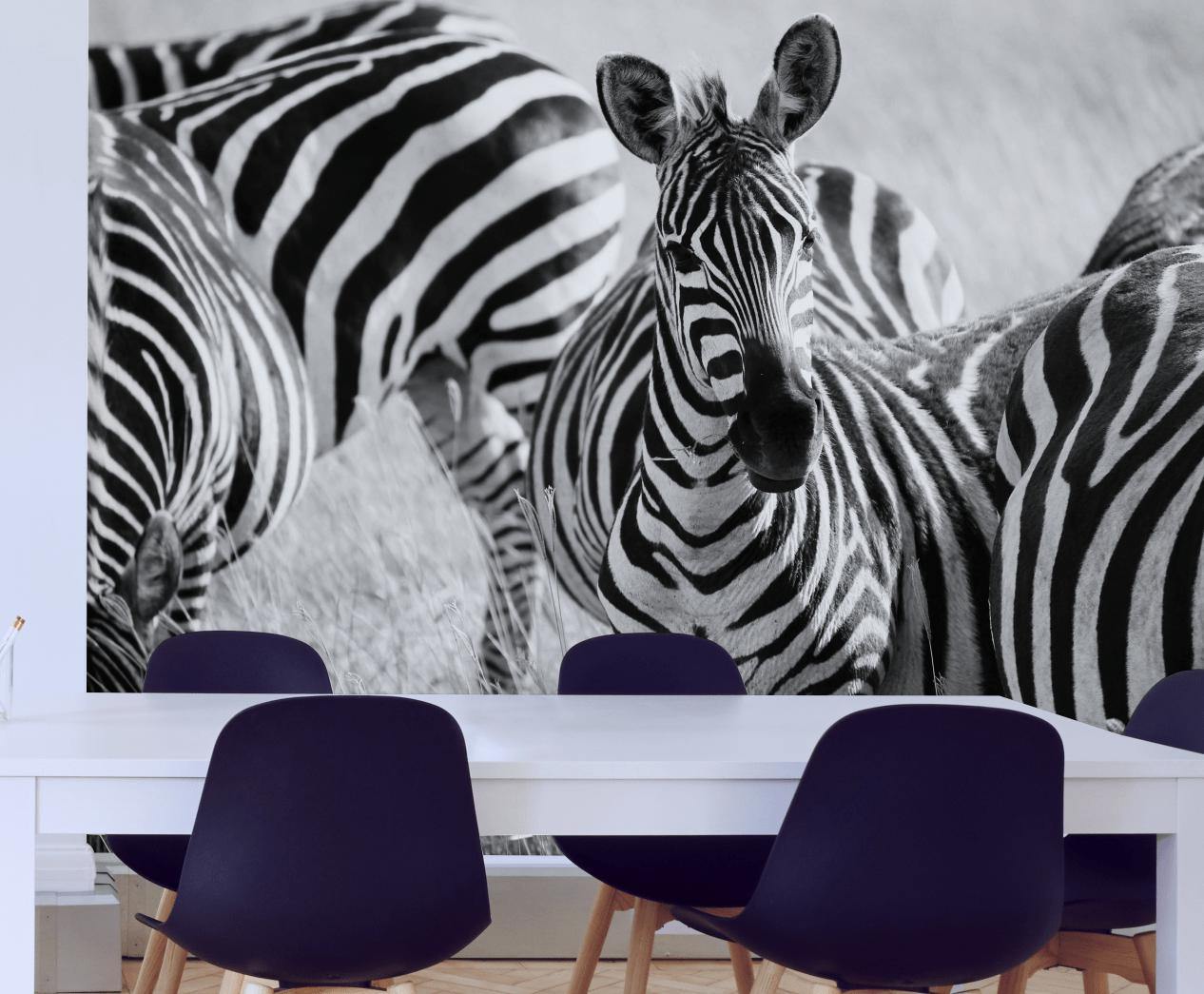 Zebras in Tanzania Wall Mural-Wall Mural-Eazywallz