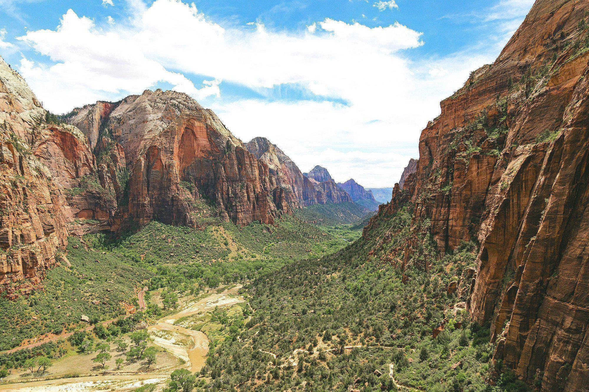 Zion National Park Wall Mural-Wall Mural-Eazywallz