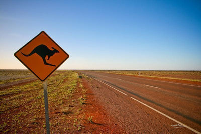 kangaroo crossing road sign Wall Mural-Wall Mural-Eazywallz