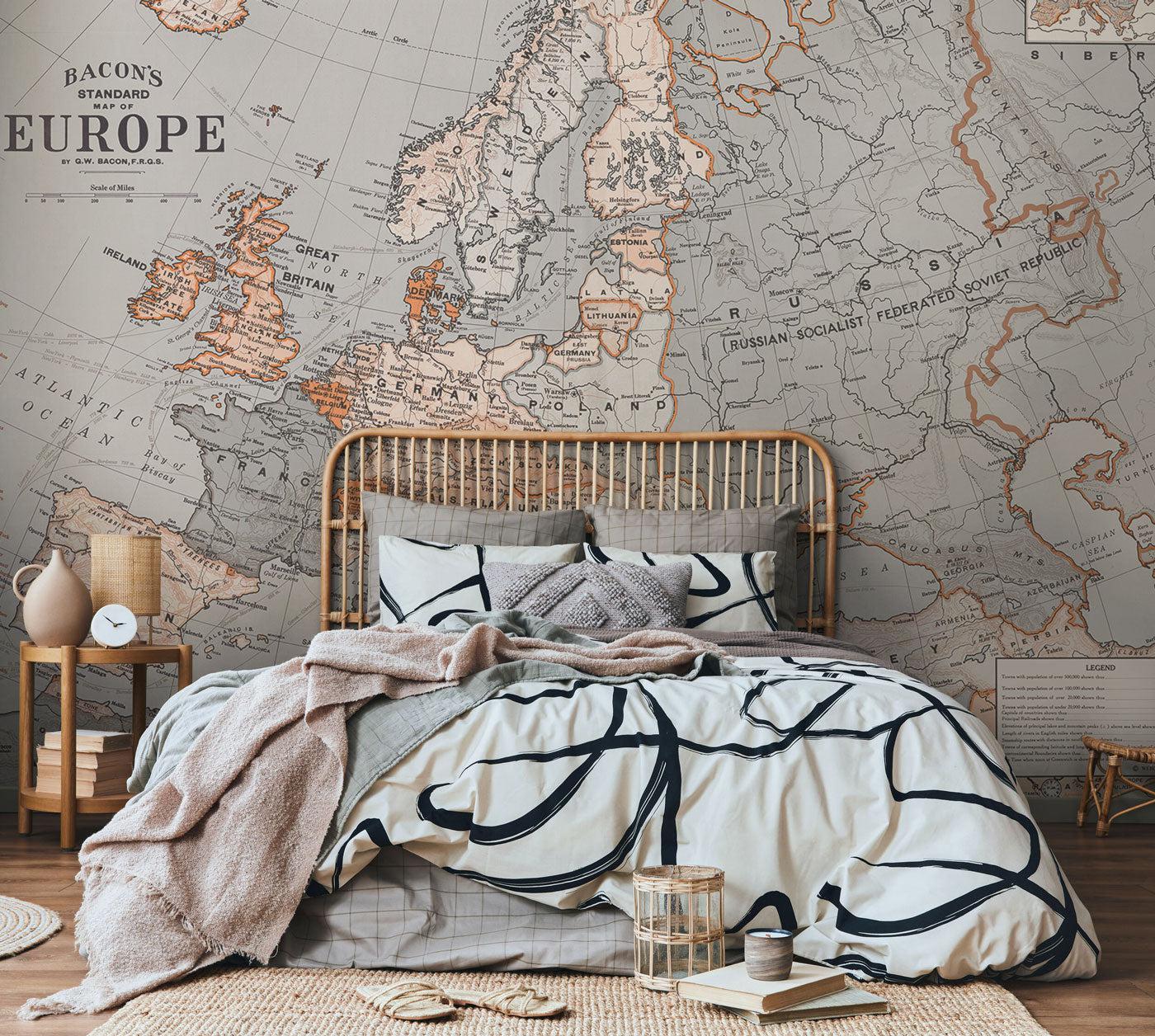 Standard Map of Europe Wall Mural-Wall Mural-Eazywallz